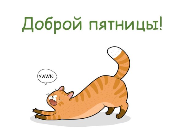 Доброе утро коты пятница