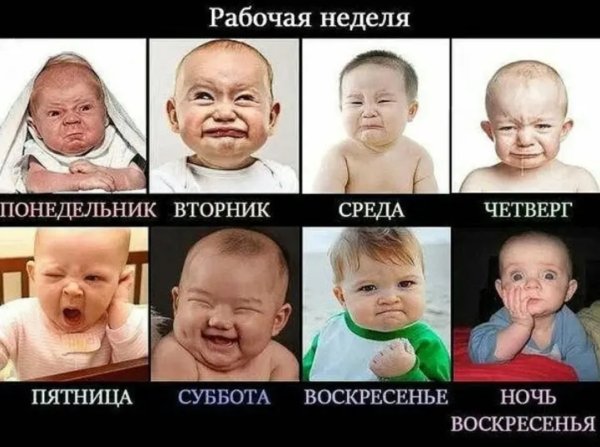 Рабочая неделя приколы
