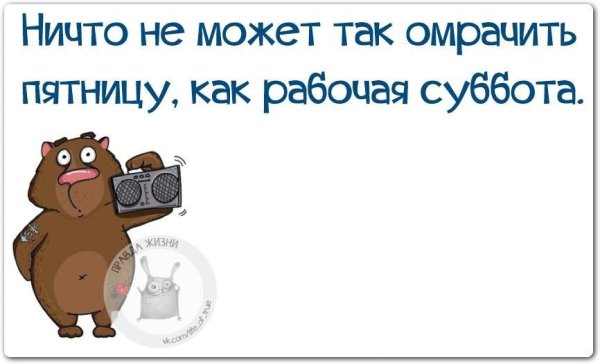 Анекдоты про субботу смешные в картинках