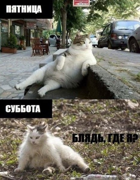 Мемы про пятницу
