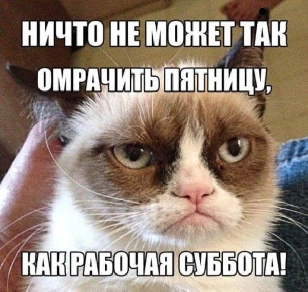 Шутки про рабочую субботу