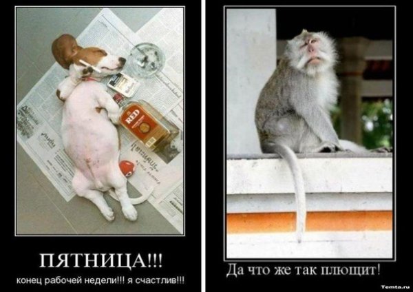 Пятница конец рабочего дня приколы