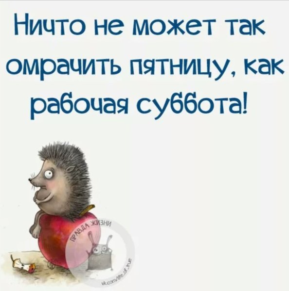 Смешные картинки с высказываниями про субботу