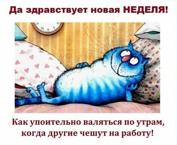 Как хорошо валяться по утрам когда другие чешут на работу картинки
