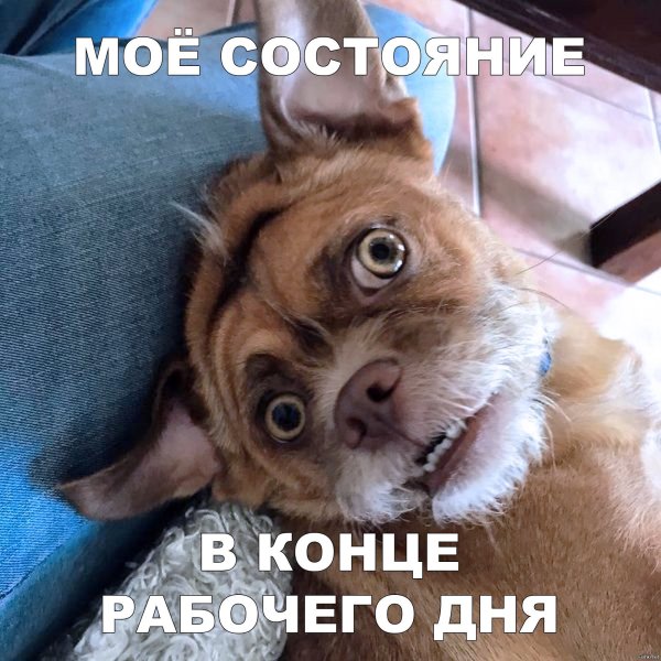 Конец рабочего дня юмор