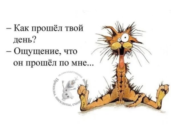 Смешные картинки про рабочую неделю