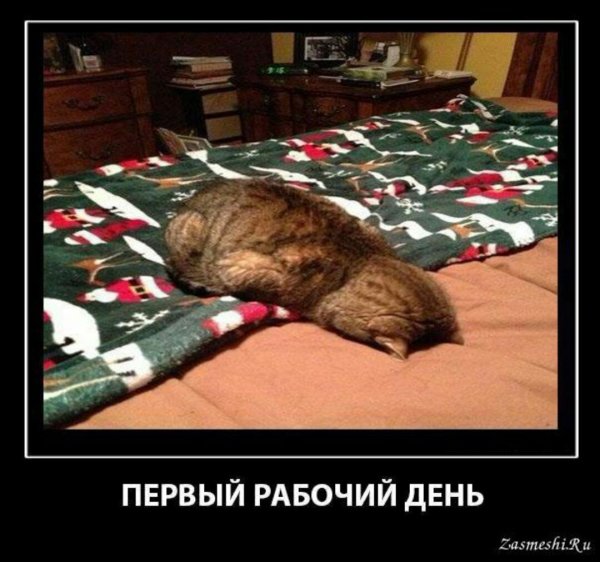 Поздравление с первым рабочим днем