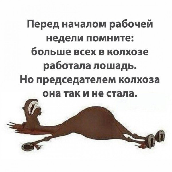 Смешные фразы конец первого рабочего дня