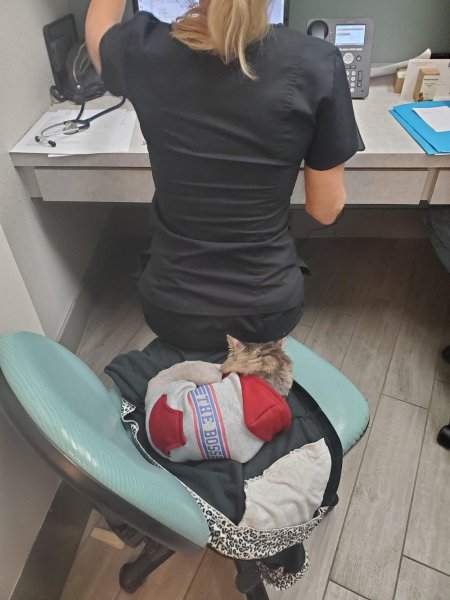 Фото приколы про работу