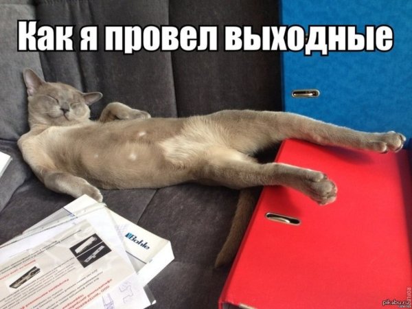 Выходные картинки прикольные