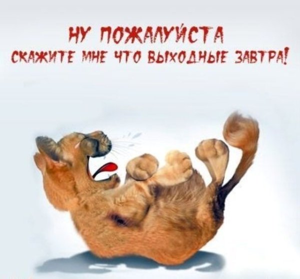 Пятница выходной картинки
