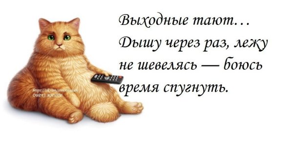 Афоризмы про выходные