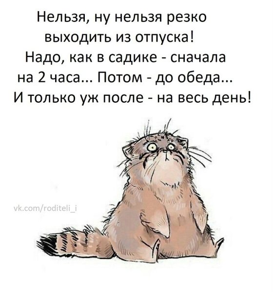 Рабочее воскресенье картинки