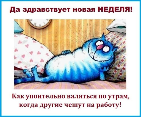 Как хорошо валяться по утрам когда другие чешут на работу картинки
