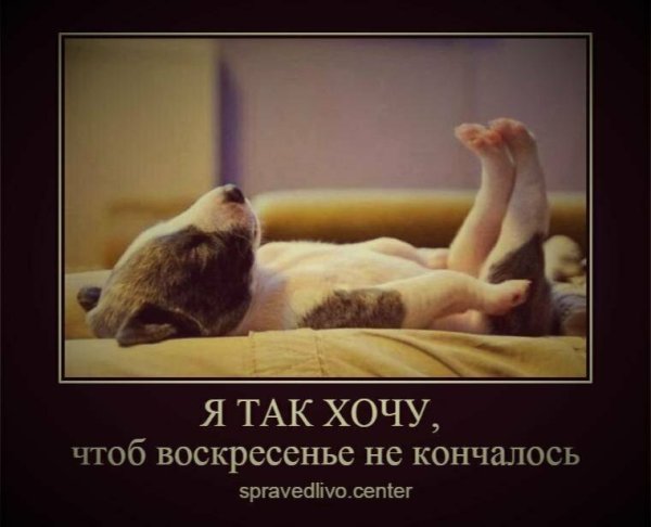 Шутки про воскресенье