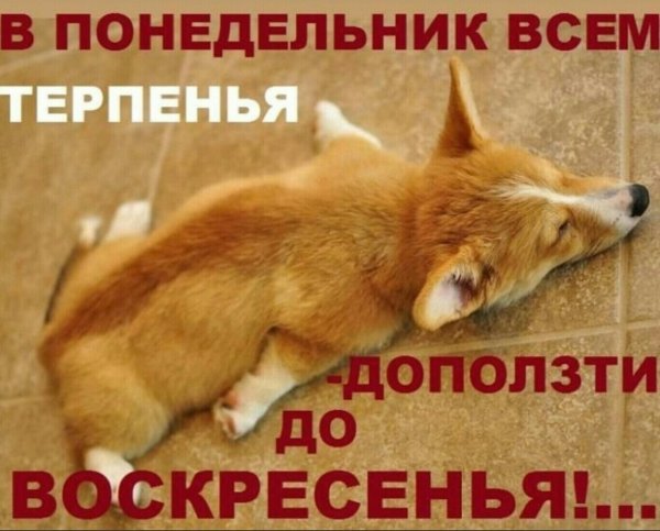 Высказывания про понедельник
