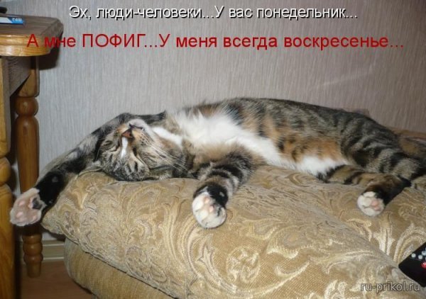 Веселого воскресенья картинки