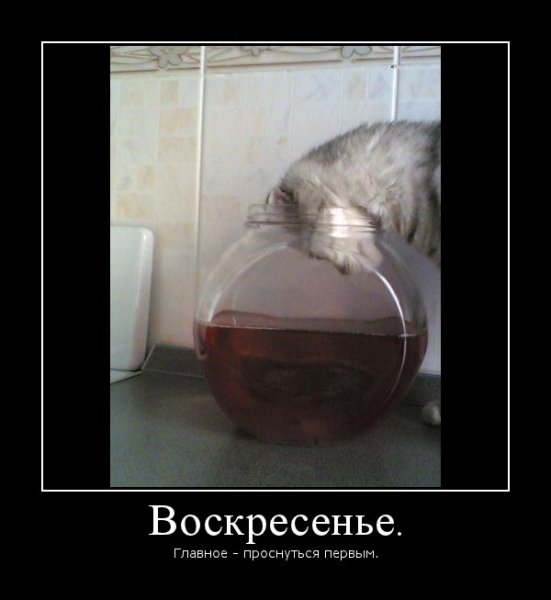 Воскресенье демотиватор