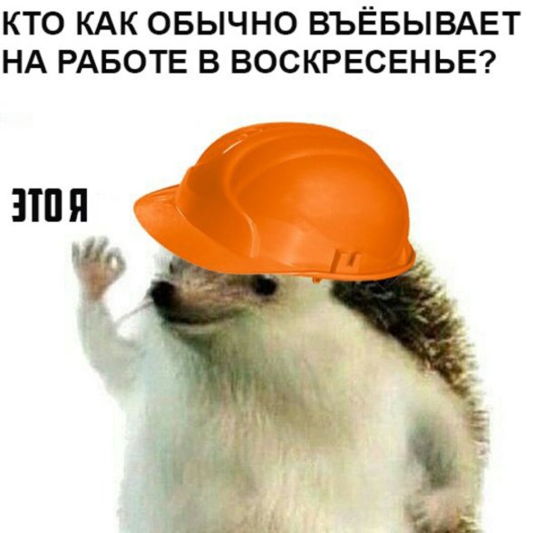 Приколы про работу