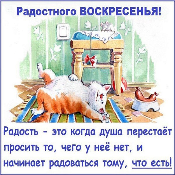 Воскресенье юмор