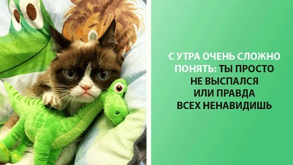 Утренние приколы