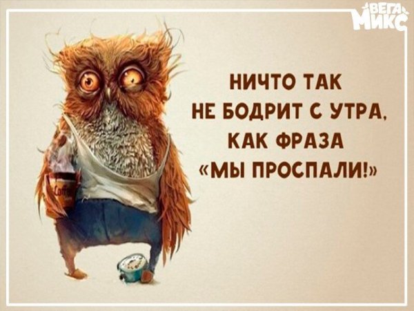 Прикольные фразы про утро