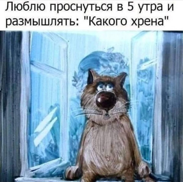 Доброе раннее утро приколы