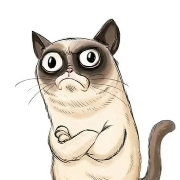 Смешной кот рисунок