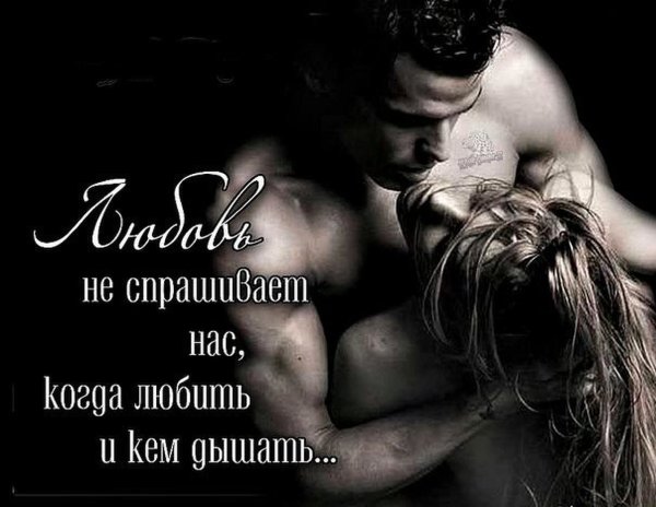 Любовь и страсть со словами