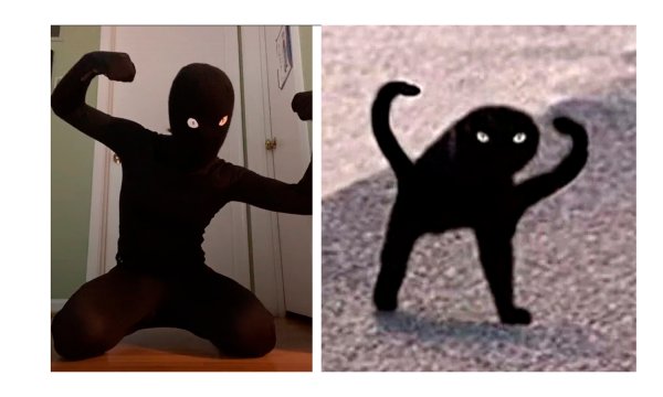 Кот Мем