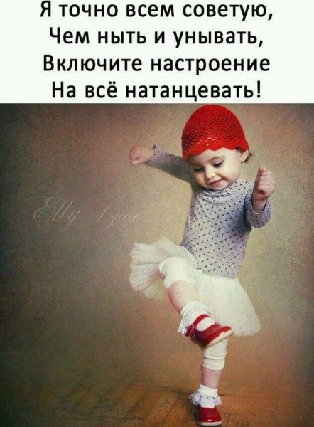 Веселые цитаты