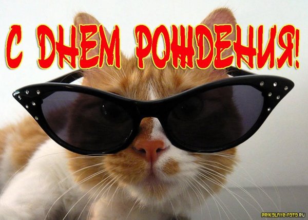 С днём рождения мужчине прикольные