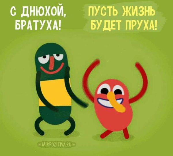Поздравление с днём рождения брату с приколом