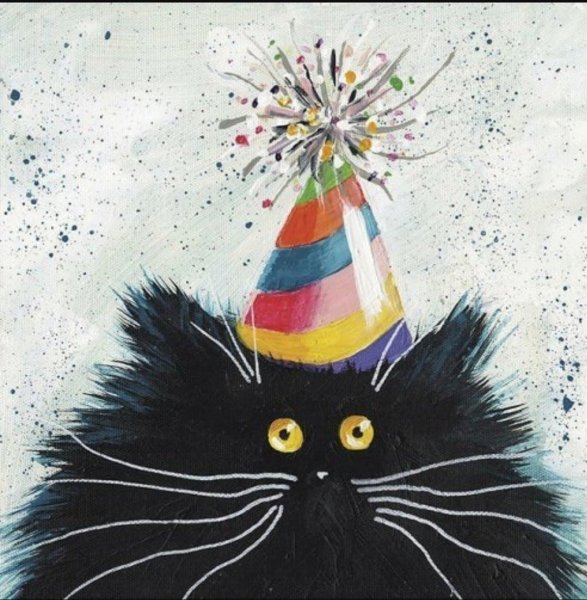 Kim Haskins коты