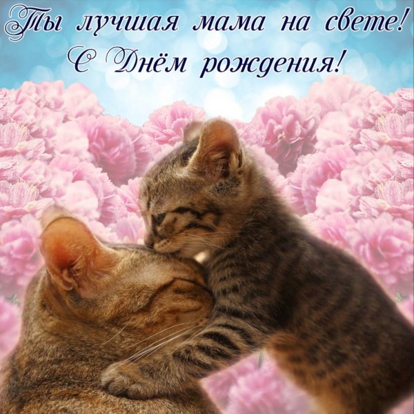 Поздравления с днём рождения ма