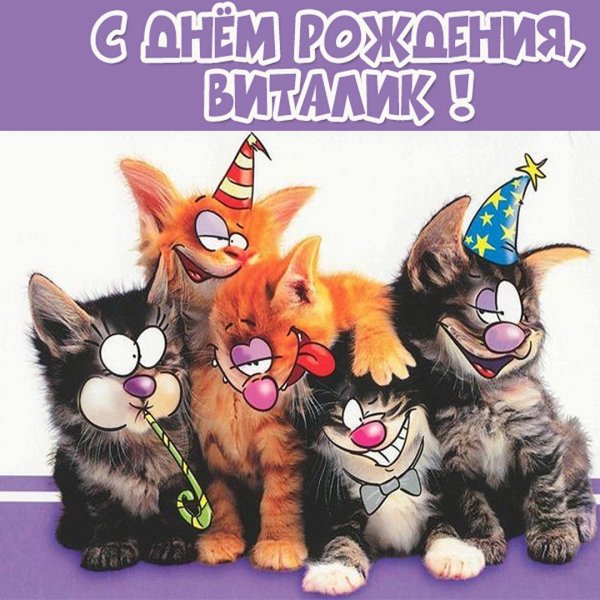 С днем рождения прикольные картинки