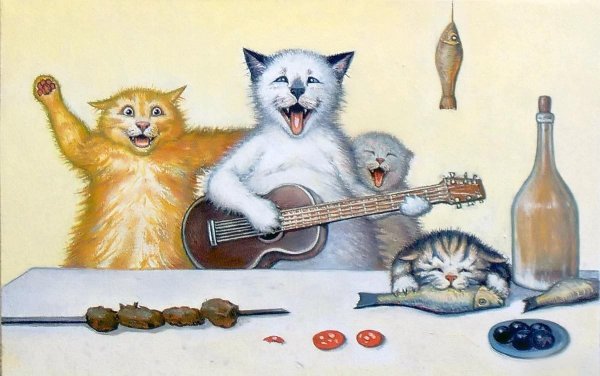 Каширин коты