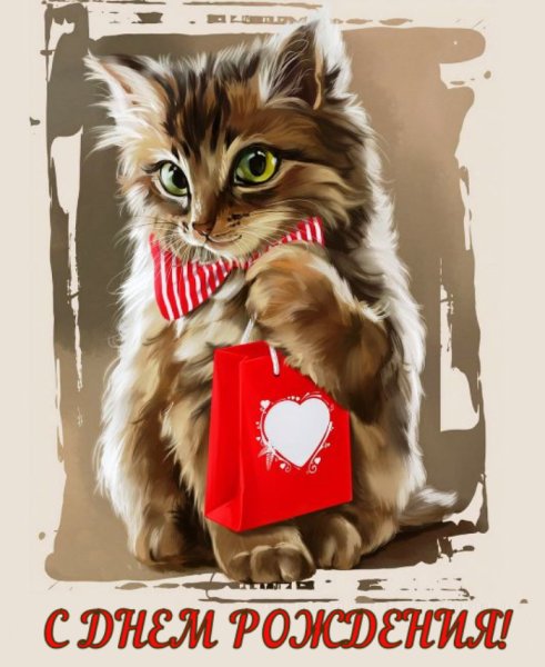 Открытка «котики»