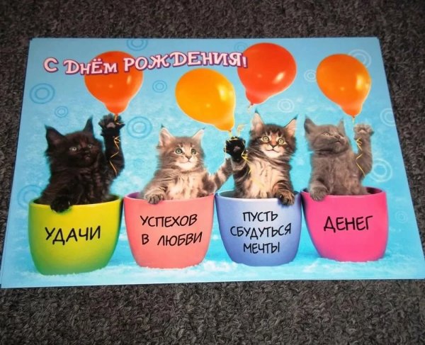 С днем рождения коты