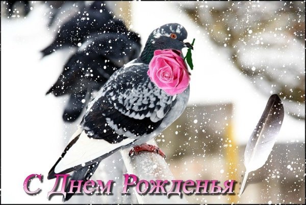 Зимнее поздравление с днем рождения женщине