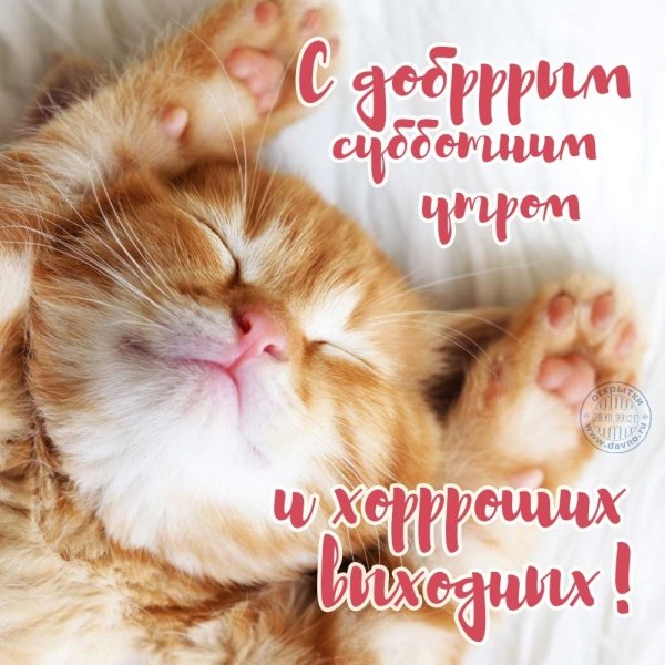 С дрбрым чубботним у РРМ