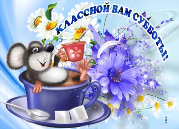Прекрасного дня и настроения