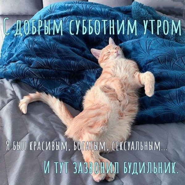 Доброе утро субботы