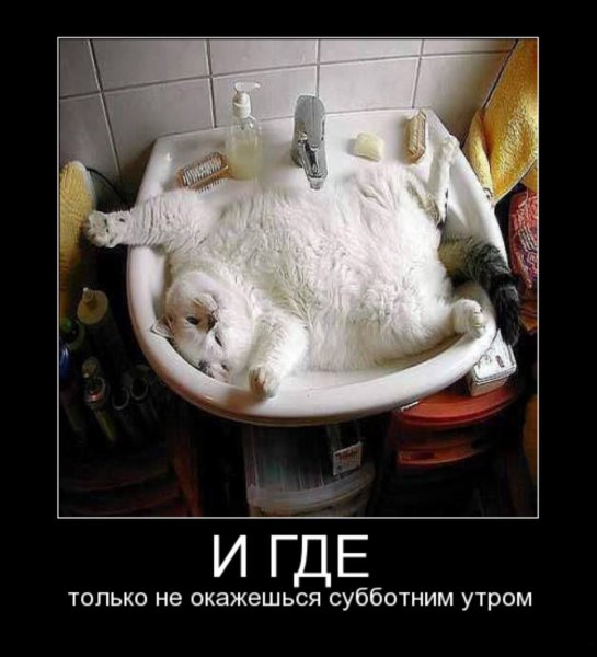 Доброе утро Юморные и прикольные