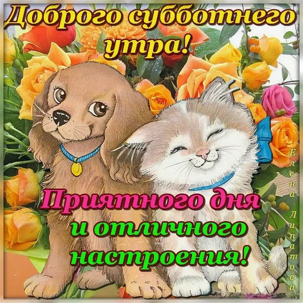 Сдобрыи субботетм утром