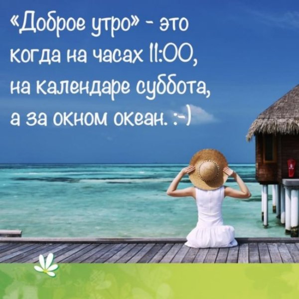 Смешные открытки с субботой