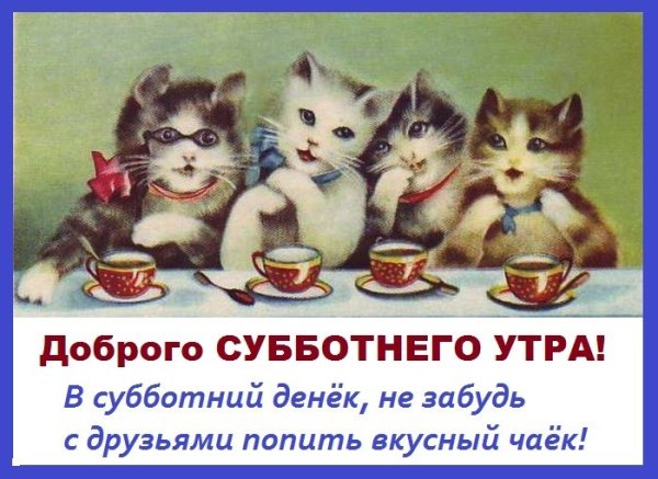 Открытки с добрым утром субботы прикольные