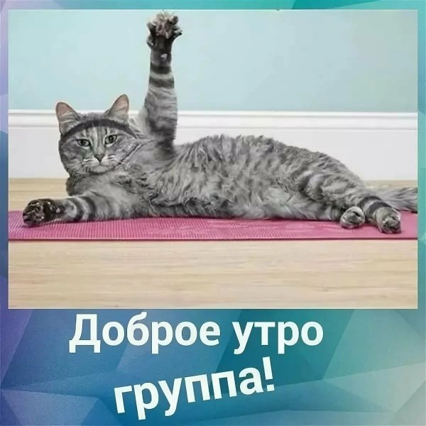 Доброе утро группа