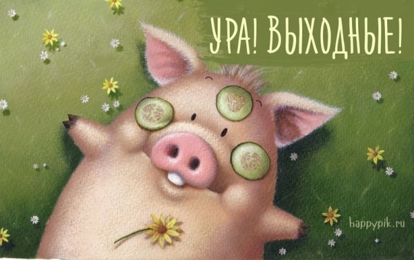 Смешные открытки