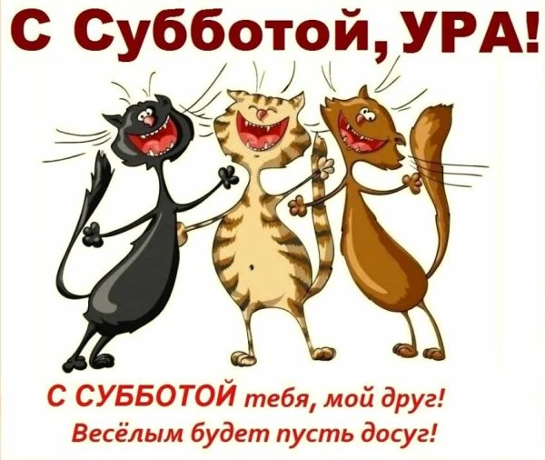 Суббота юмор